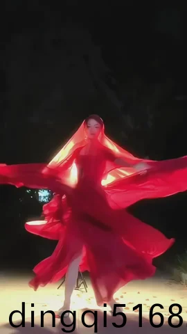 生化危机6艾达篇