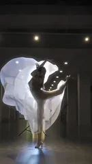看黄台的APP大秀