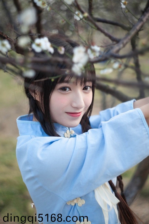 5425c色带图片
