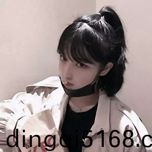御龙在天法师属性加点